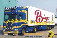 Bingo Trans Sint Katelijne Waver Scania R164 Topline koeltrailer foto